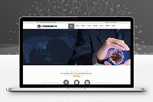 【中文模板】工程机械类网站 浅灰款 电脑端+移动端模板