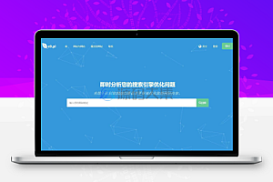 深入的 SEO 分析工具源码Turbo Website Reviewer