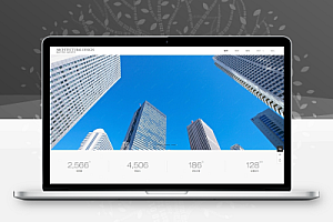 【中文模板】企业类网站 蓝白款 响应式模板