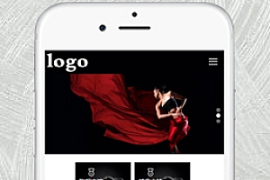 【移动端】艺考培训机构 黑白款 包含html+CSS+Js+字体文件全套