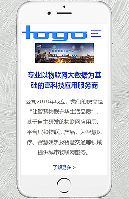【移动端】信息技术行业 蓝色款 包含html+CSS+Js+字体文件全套