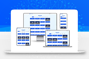 带简易后台管理的米表系统 域名出售源码分享