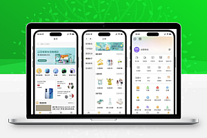 2025最新修复版thinkphp+Uniapp开发的多端商城系统源码